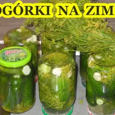 Jak zrobić dobre ogórki kiszone na zimę, aby były idealne i chrupiące
